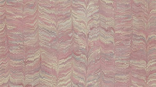 Jaipur Plain 311727